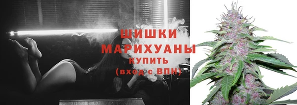 твердый Верхний Тагил