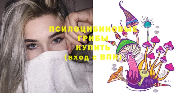 прущая мука Богородск