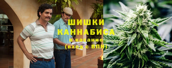 твердый Верхний Тагил