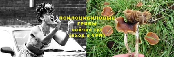 СК Богданович